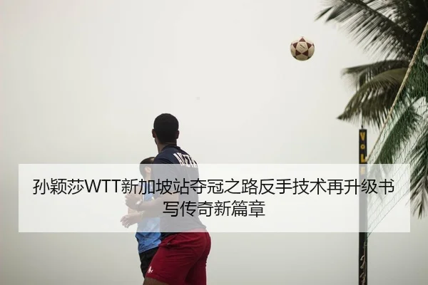 sun-ying-sha-xin-jia-po-zhan-duo-guan-zhi-lu-fan-shou-ji-shu-zai-sheng-ji-shu-xie-chuan-qi-xin-pian-zhang-2-721.jpg